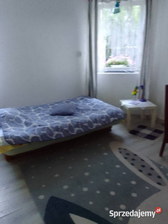 KAWALERKA DO WYNAJĘCIA KRZESZOWICE