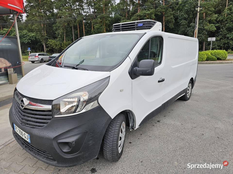 VIVARO TRAFIC LONG L2H1 CHLODNIA MROZNIA CARRIER Tarnobrzeg