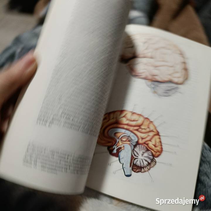 Mały atlas anatomiczny autorstwa Witolda Poznań
