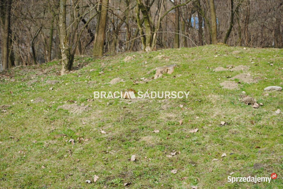 sprzedaży gruntu Malkowice 4800m2