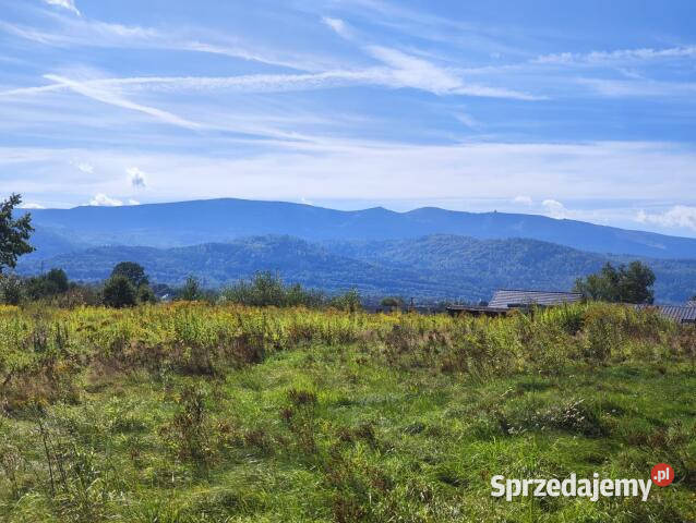 sprzedaży ziemi Wojcieszyce 1350m2