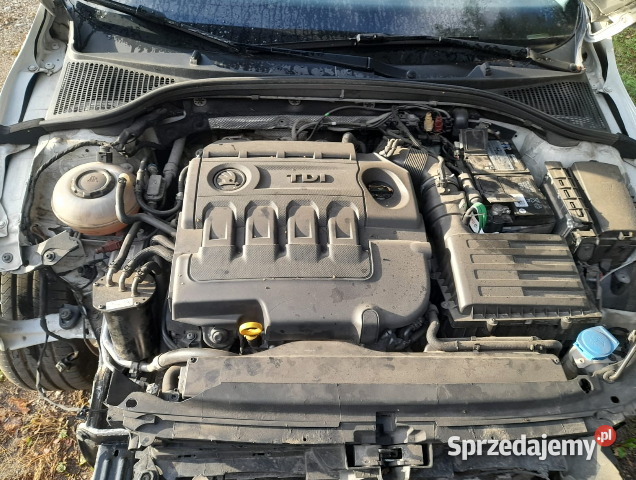 Skoda Octavia 20 2019 uszkodzona Pozostałe Olszowiec