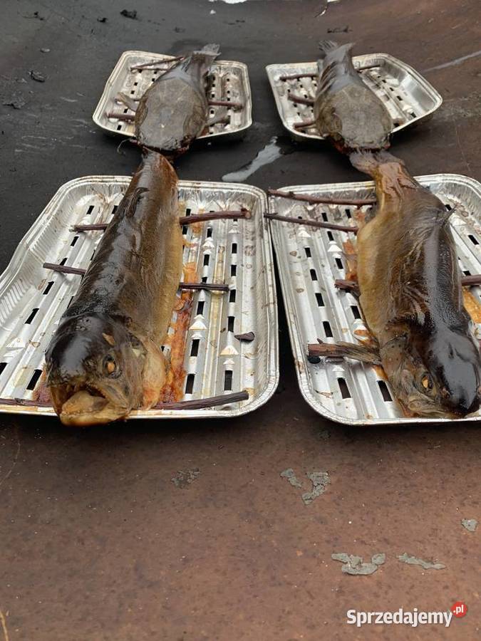 Ryby wędzone na gorąco