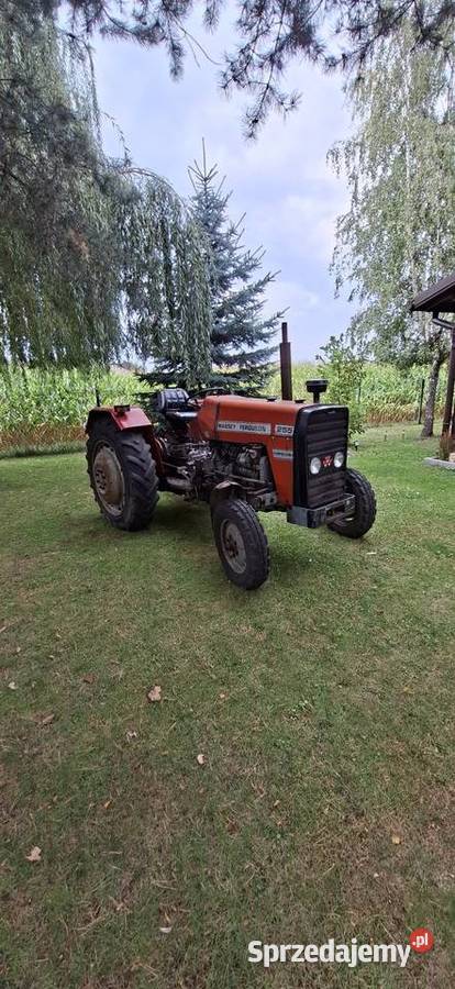 Massey ferguson 255 nie ursus sprzedam