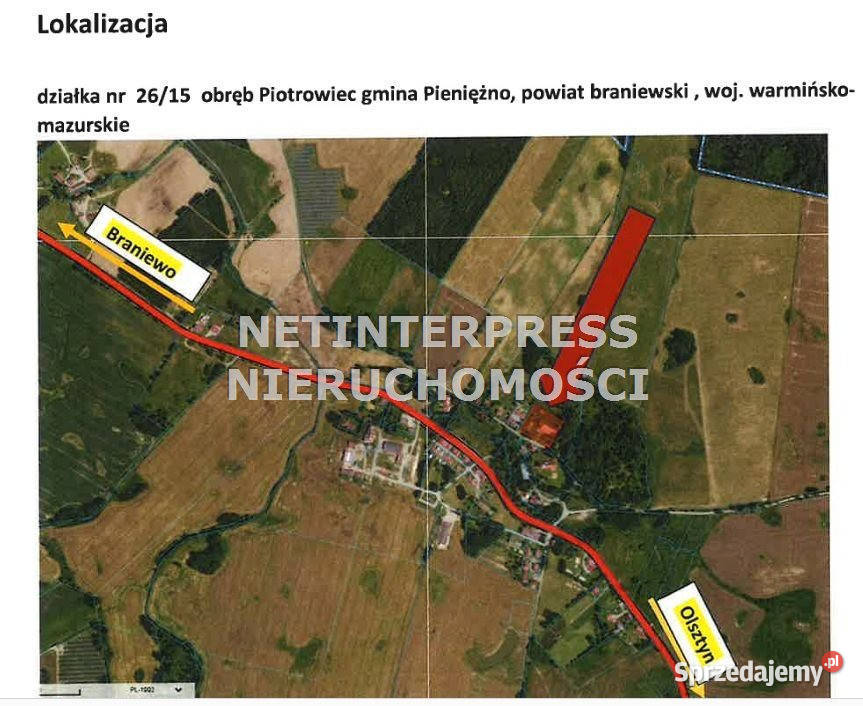 sprzedaży lokalu Piotrowiec 38693 metry sprzedam