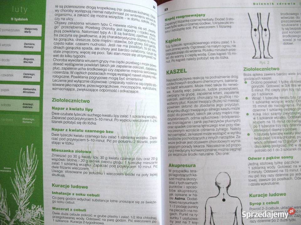 Dziennik zdrowia 2010 Andrzej Żak książka polska Kultura i Rozrywka Siedlce