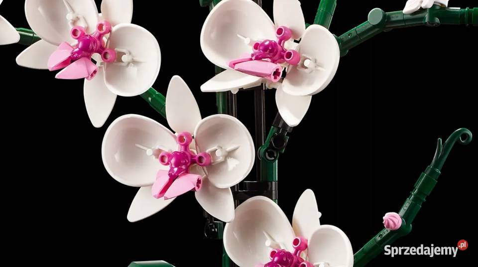 LEGO CREATOR ORCHIDEA STORCZYK KWIATY 10311 Katowice