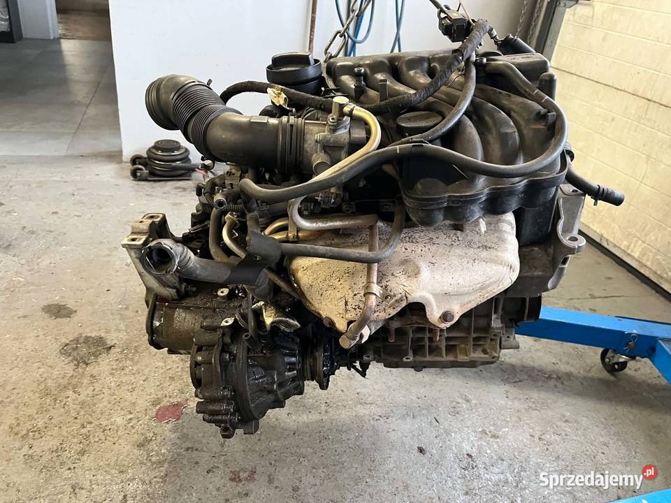 Silnik 16 8v MPI SEAT SKODA VW AUDI kompletny osobowe Silniki kompletne Kalej