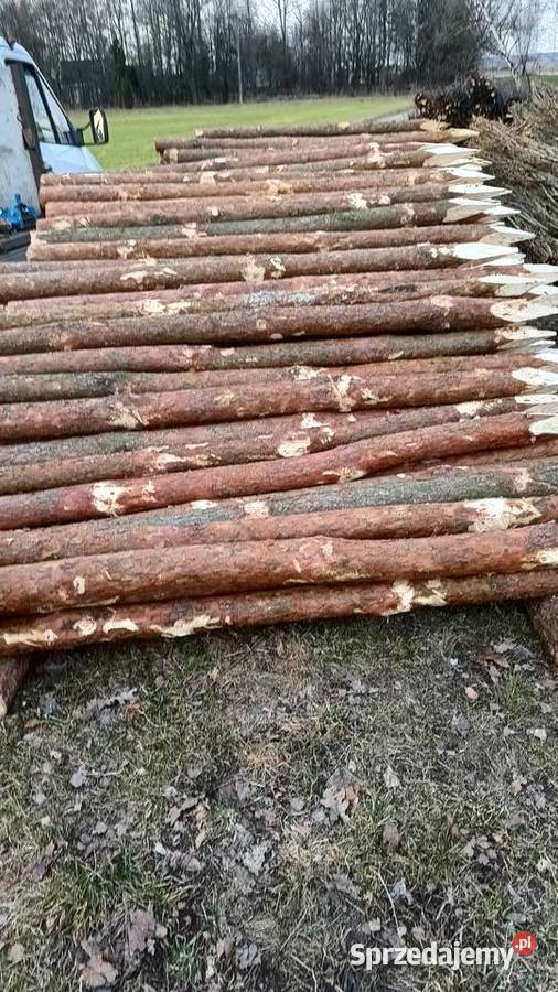 KołkiSłupki ogrodzeniowe Grębków sprzedam