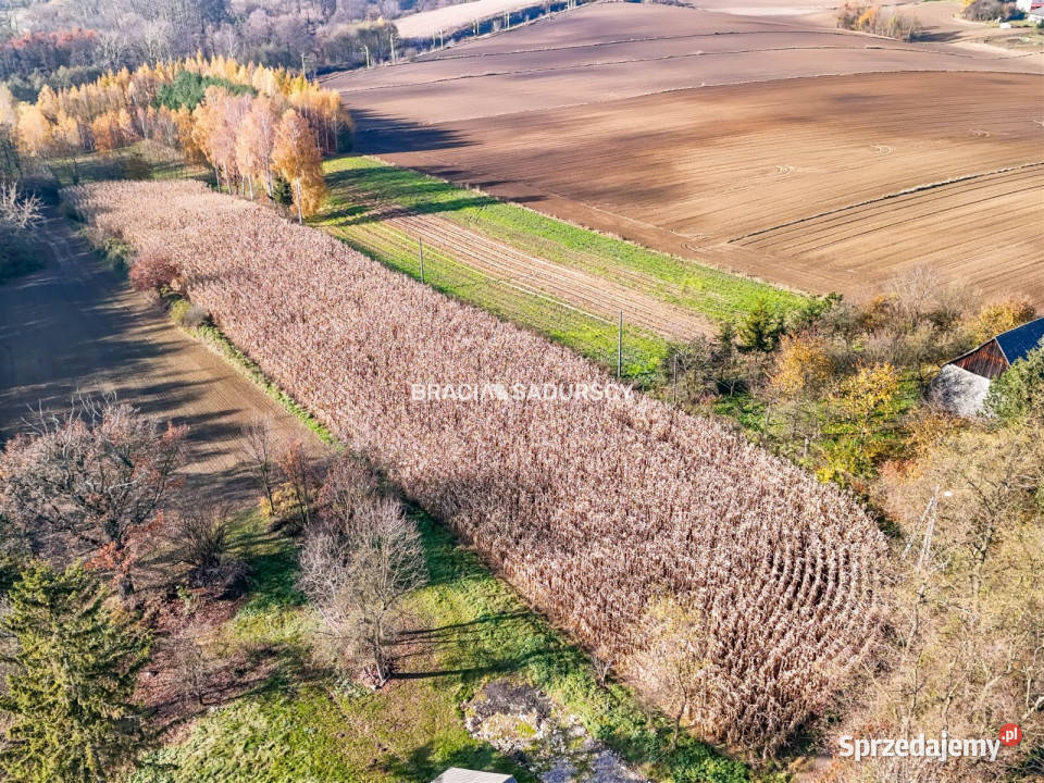 Grunt Przesławice 6000m2