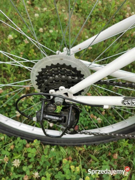 Rower miejski damka Active Leader koła 26 Wrocław