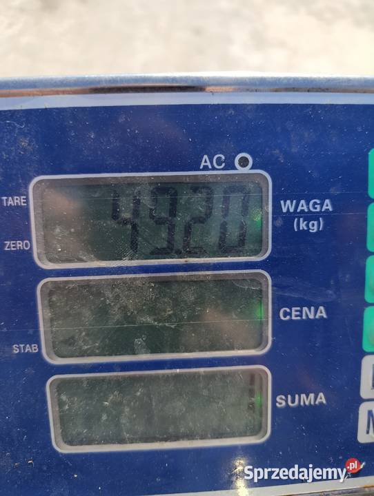 ELEMENTY KONSTRUKCJI DACHUwiata szklarnia