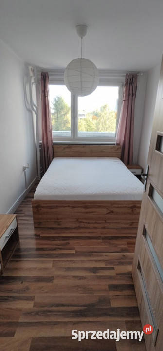 Do wynajęcia mieszkanie 2 pokoje z balkonem 49m2 Katowice sprzedam
