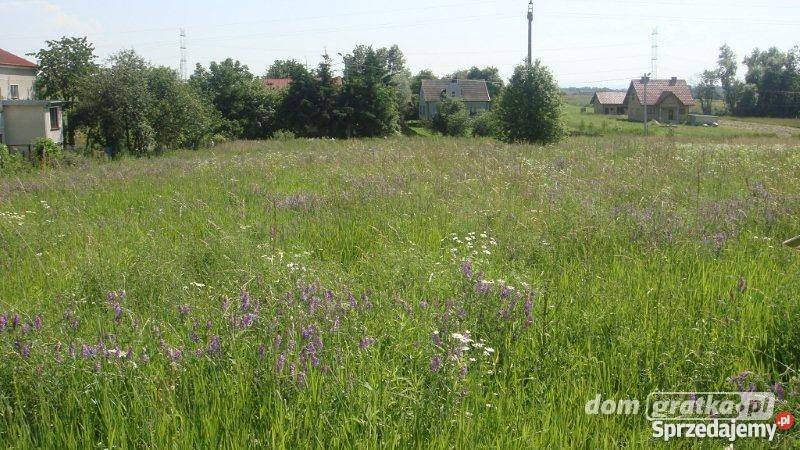 Sprzedam działkę Laskówka Chorąska sprzedam