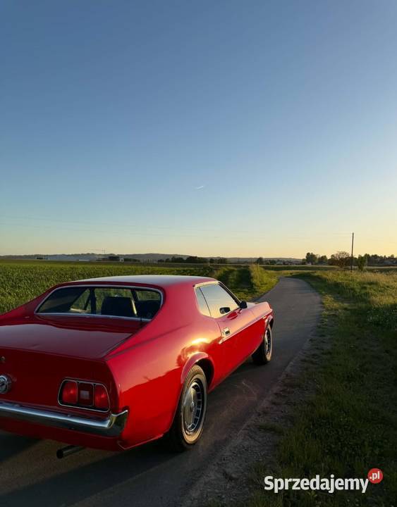Ford Mustang 50 1970 podkarpackie Rzeszów