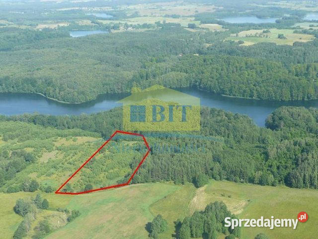 Działka 219 ha jeziorze Drawsko rolna Grunty i działki Siemczyno sprzedam