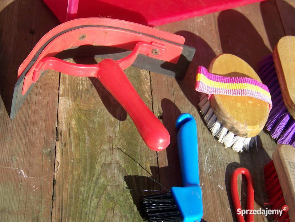 szczotki konia Konie Dargikowo