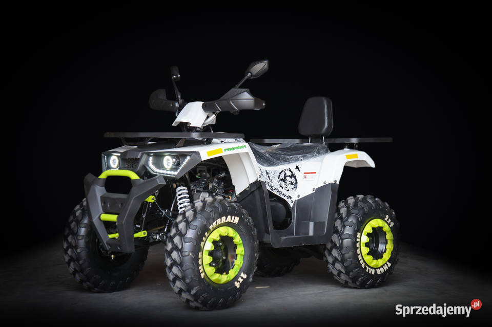 QUAD ATV HERCULES PREMIUM 250cc LED LICZNIK LCD HAK