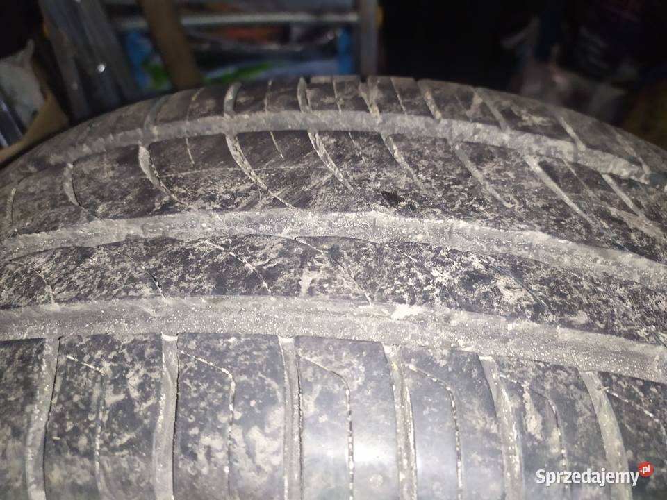 Opony letnie Pirelli 2055516 4 sztuki