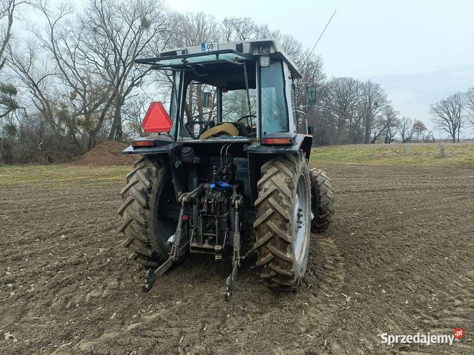 Massey Ferguson 3050 Rolnictwo Lewin Brzeski