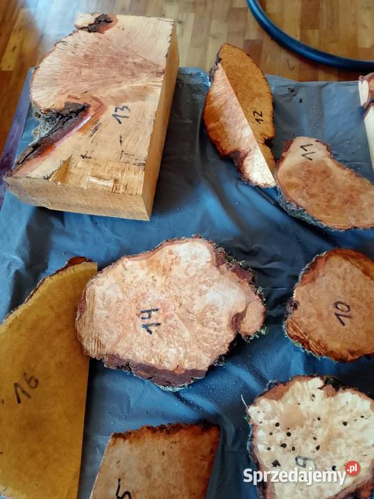 Czeczot topola klon akacja kasztan Nowy Tomyśl