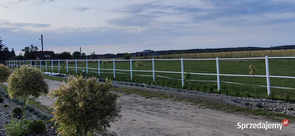 Ogrodzenie koni białe pcv słupki lonżownik Inowrocław