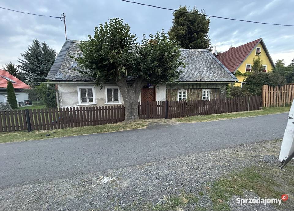 Sztachety ogrodzenia płoty architektura ogrodowa Płoty osłonowe Jelenia Góra