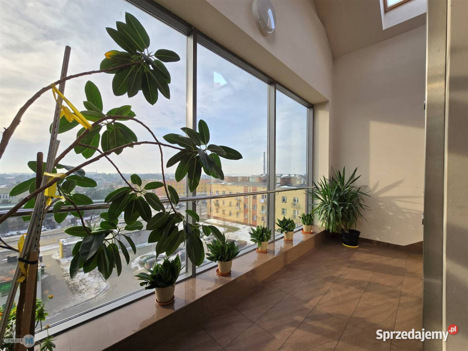 Mieszkanie Jędrzejów 9168m2 4pokojowe Sprzedaż świętokrzyskie