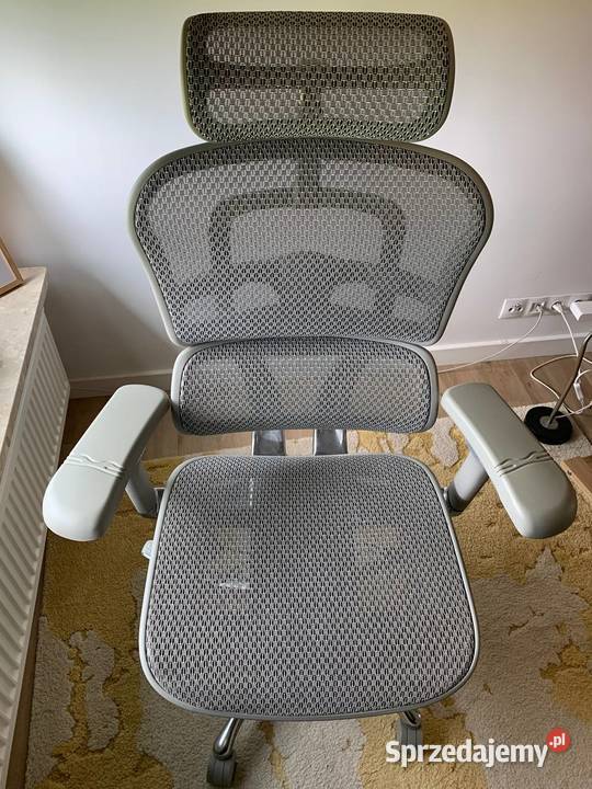 Fotel Ergohuman 2 Elite Pro GS Grey mazowieckie