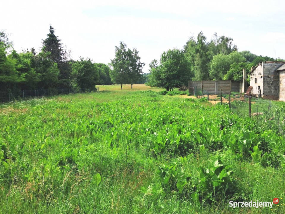 Działka budowlanorolna 11 800 m2 m2 w gm Stare Budy Radziejowskie sprzedam