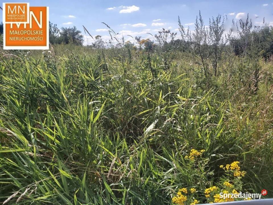 sprzedaży gruntu Jodłówka 800 metrów