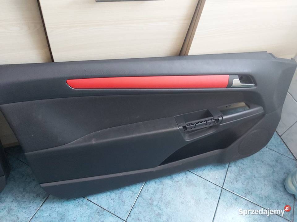 Boczki drzwi Opel astra GTC 13192984 13192983 Bydgoszcz