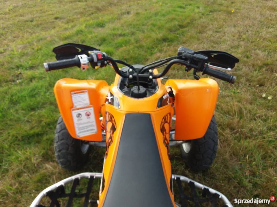 Quad hyosung goes 450x ltz trx kfx raptor Garwolin sprzedam