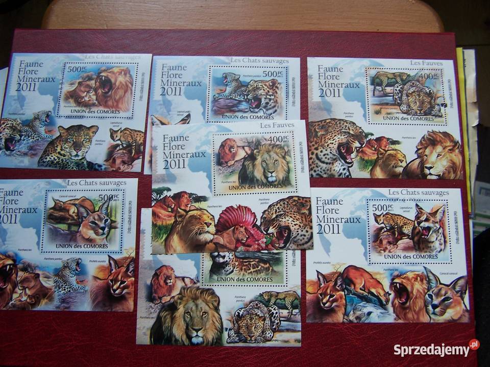 Komory 2011 MNH Dzikie koty Afryki Nakład 2500 Tychy