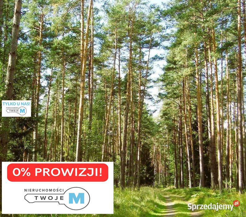 sprzedaży działki Chmielnik 431000m2