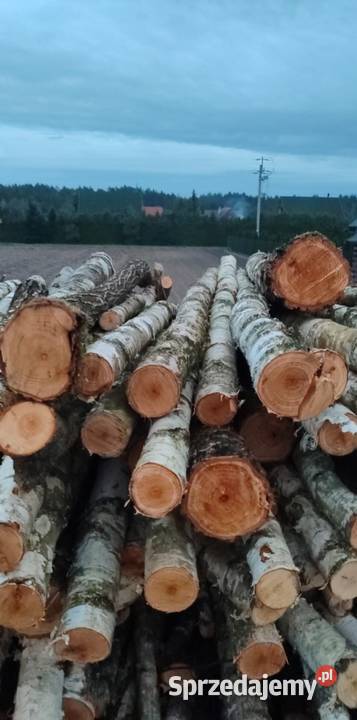 Drewno opałowe Pozostałe Nowy Orzechów