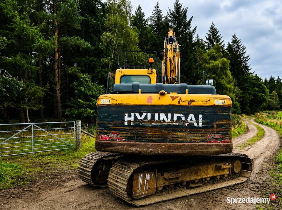 Koparka gąsienicowa Hyundai Robex 140 LC9 6633 Bełchatów