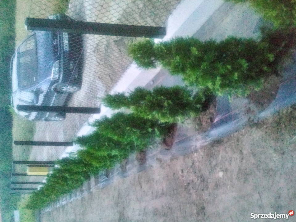 Kostka brukowa ogrodzenia ogrody Wieliczka