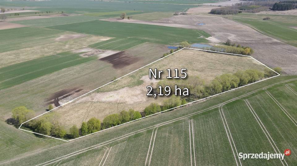 Działka rolna 219 ha pod Bartoszycami Plęsy Bartoszyce