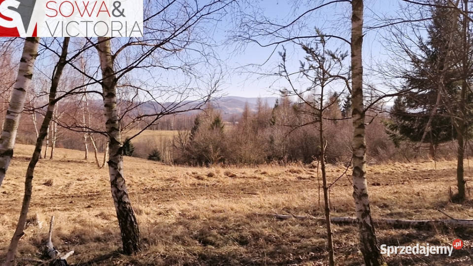 Panorama Góry Sowie Zagórze Śląskie