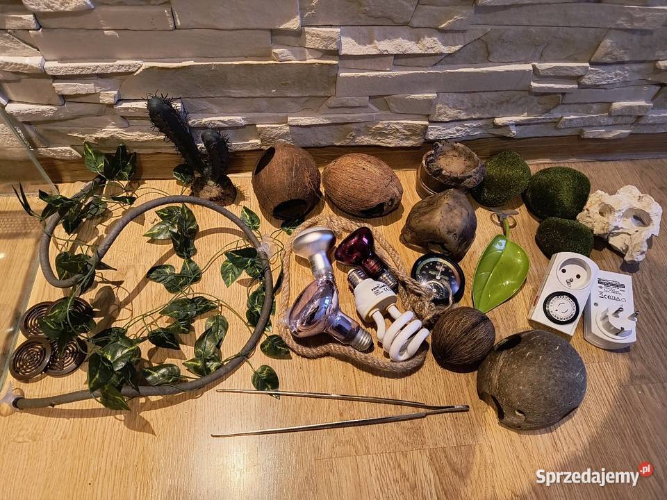 Terrarium kostka gadow 30x30x30 akcesoria