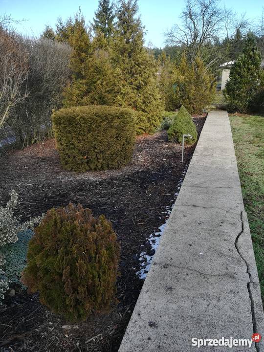 Murowany domek na działce ROD na Darzynce siatka Poznań