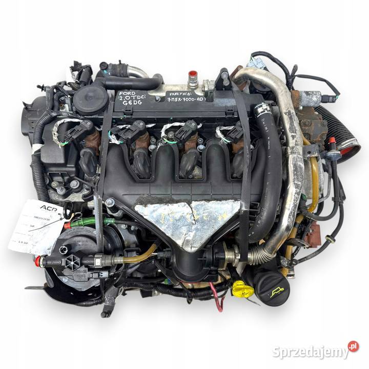 SILNIK G6DG Ford Kuga 20 TDCI 136 diesel Silniki kompletne