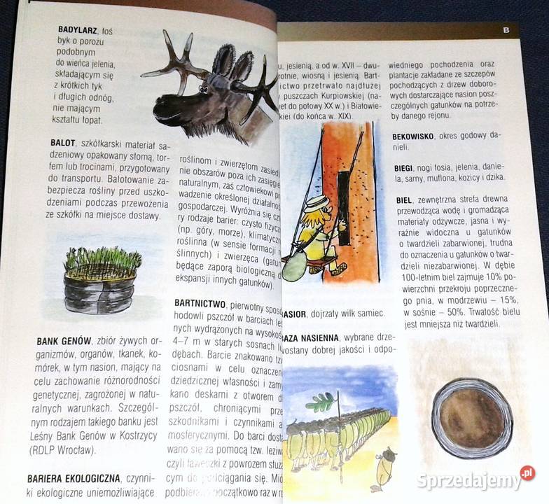 Las słowami opisany Słowniczek terminów leśnych