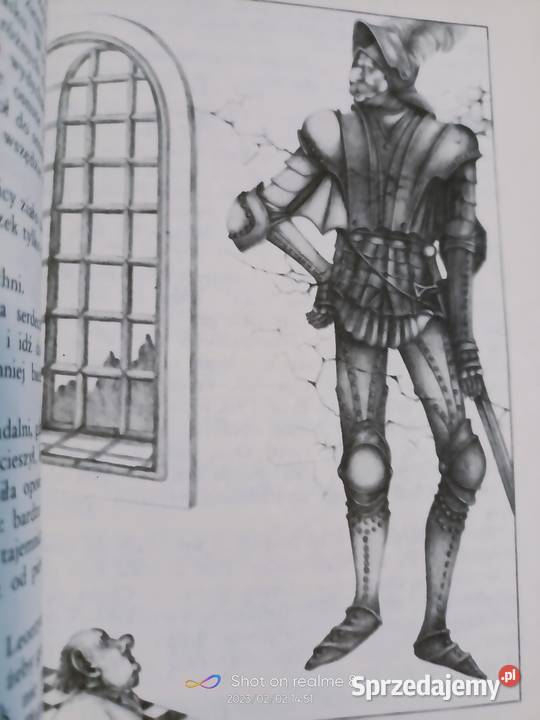 Boraczek ilustracja Borański książki pierwsze miękka mazowieckie sprzedam