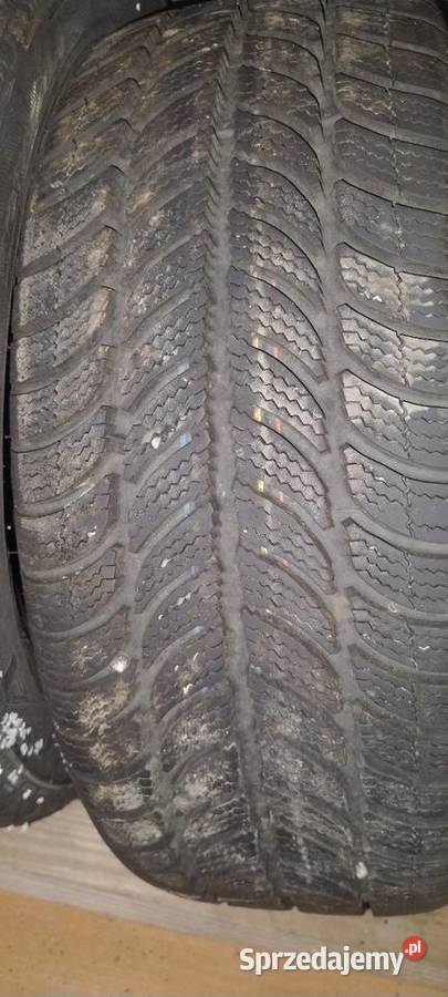 Opony zimowe Dębica frigo 2 55 Iwkowa