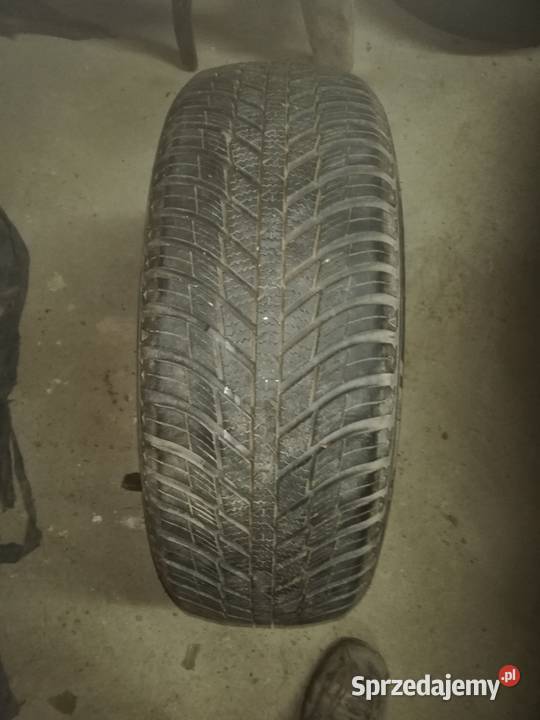 NEXEN NBLUE 4SEASONS WH17 20560 R15 91H MS dolnośląskie Zbaków Górny