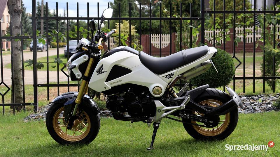 Honda MSX 125 Grom katB