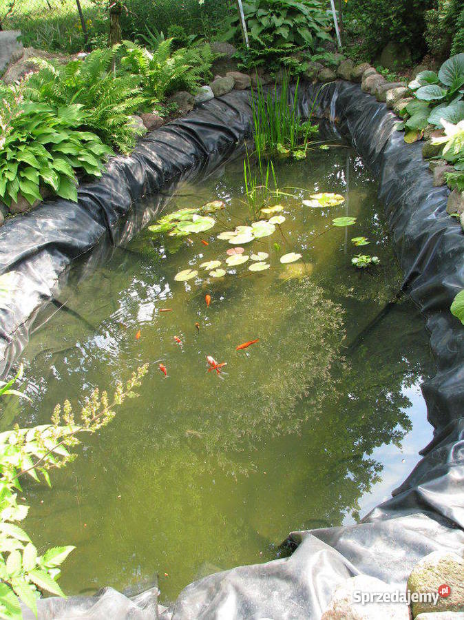 działkę pracowniczą ŁÓDŹ Łódź