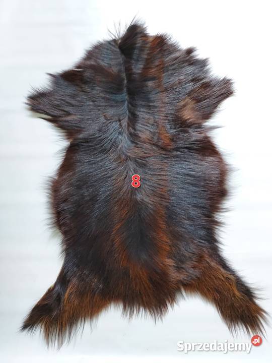 Skóry z Kóz Naturalne Skóry Dekoracyjne Skóra Szaflary